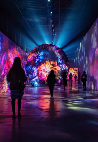 Digital Installation