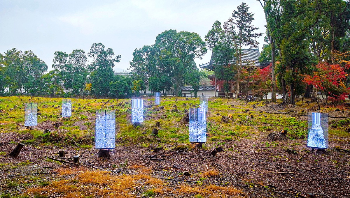展示「物化するいのちの森」