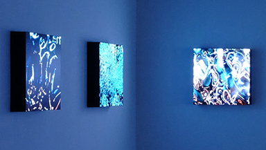 NFT作品「Re-Digitalization of Waves」