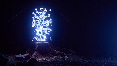 展示「物化するいのちの森」