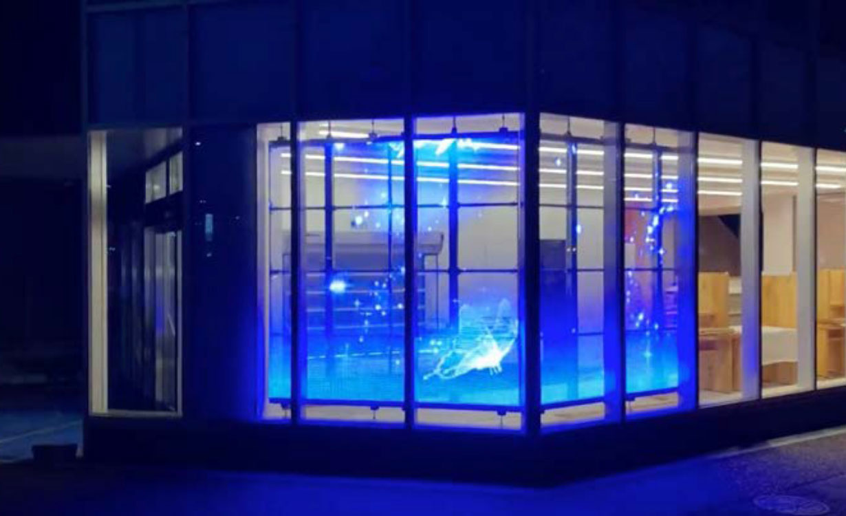 インパクトのある映像展示のイメージ